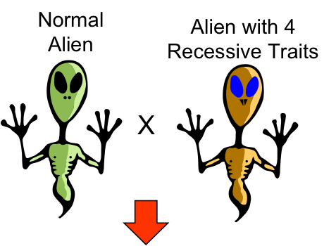 Alien F1 cross