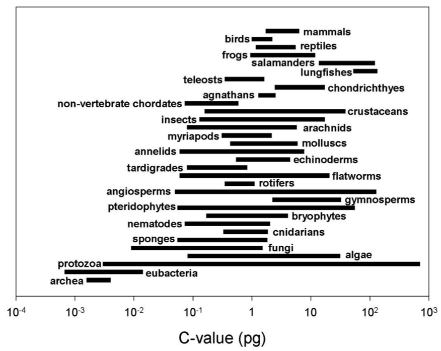 C Values