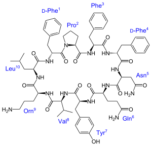 Central Dogma