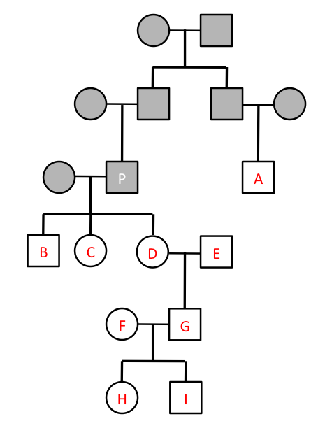 A pedigree of genotypes